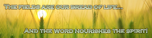 The fields are our bread of life... And the word nourishes the spirit!