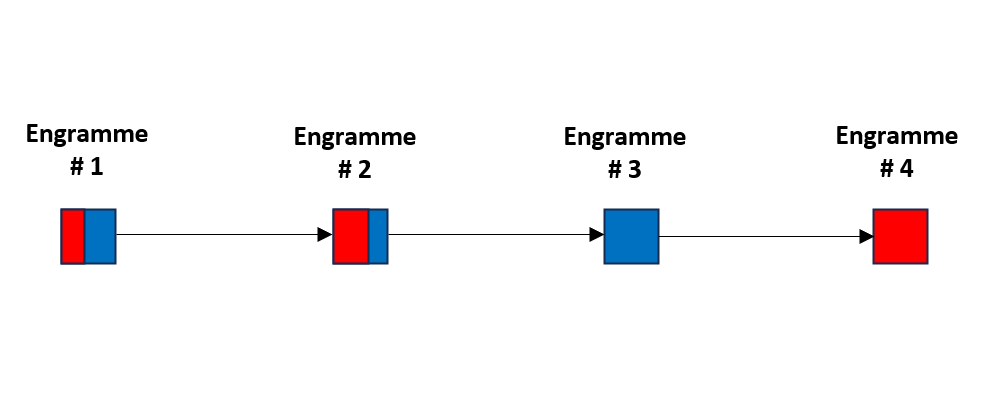 FIGURE 1 – Gestion des engrammes avec le contrepoids de la dualité cœur et intelligence, en tenant compte de la méthode de L. Ron Hubbard toujours aussi bonne