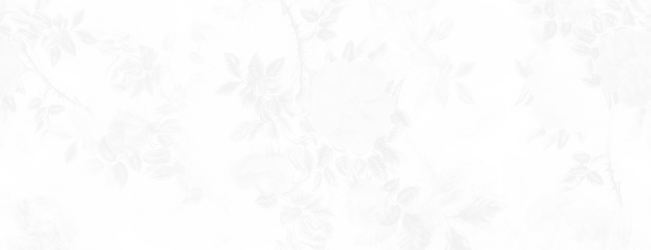 Fondo del título del documento